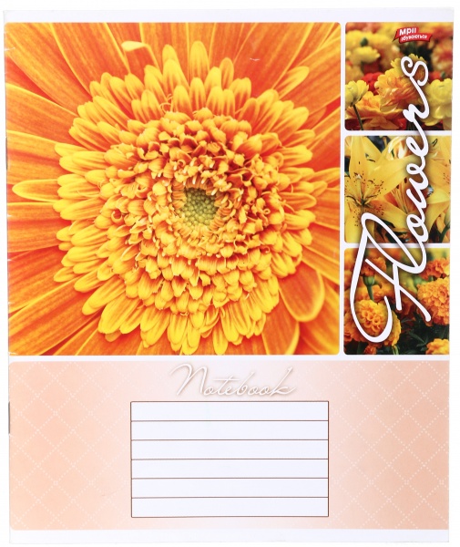 Тетрадь школьная 18 листов в линейку в ассортименте Мечты сбываются