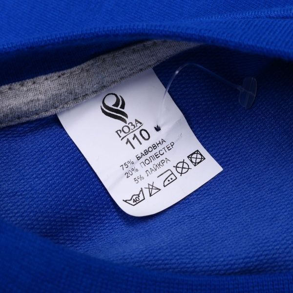 Джемпер Роза 190136 р.122 електрик 