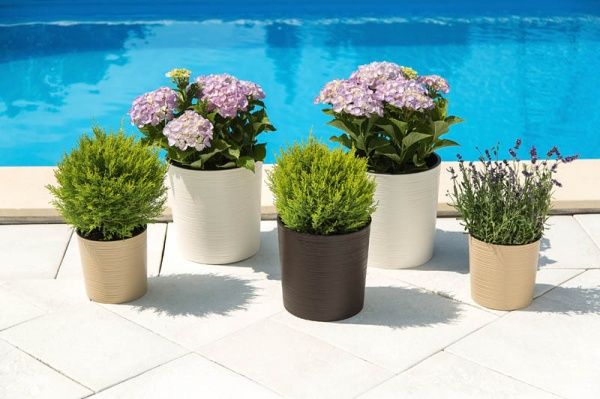 Горшок Lamela Мальва Долото 300 круглый мокко 