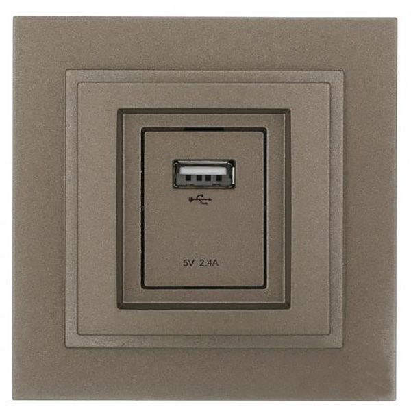 Розетка USB із заземленням Mono Despina без шторок без кришки бронза 102-232305-177