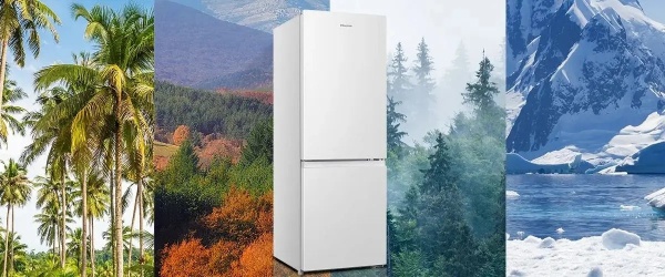 Холодильник Hisense RB224D4BWF (BCD-171)