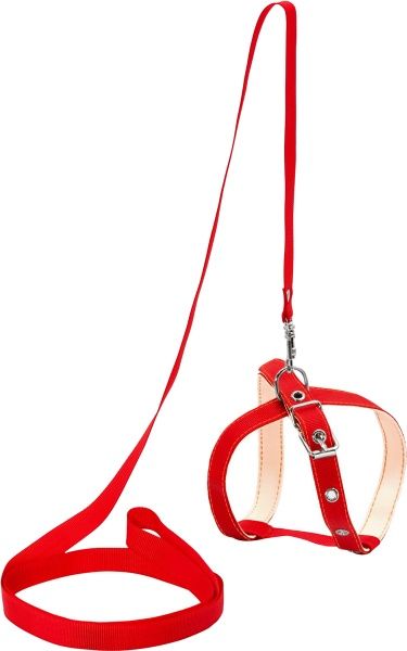 Повідець-шлея Collar капронова 1,4х130 см червоний