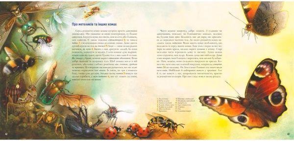 Книга «Книга. Годинник природи»