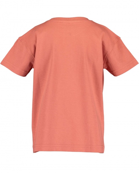 Футболка детские Blue Seven р.98 оранжевый 802235 X_243_р.98 