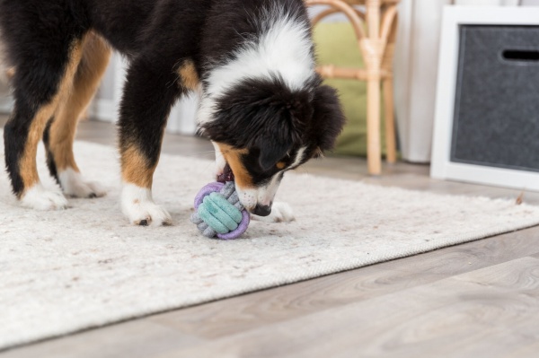 Игрушка Trixie для щенков Мяч-канат 9 см (32814)