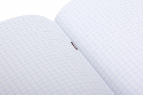 Зошит шкільний уф-лак 12 аркушів у клітинку в асортименті Мрії збуваються