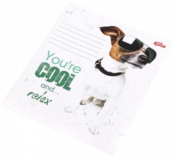 Зошит шкільний уф-лак 12 аркушів у лінійку в асортименті Мрії збуваються