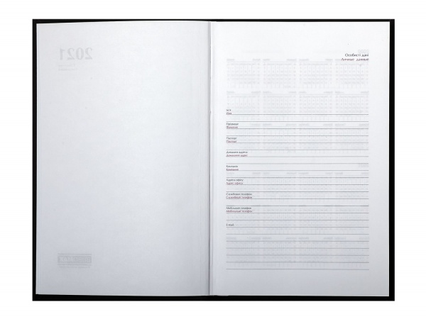 Щоденник датований Pretty блакитний лінія Buromax Bravo A5 2021 BM.2184-14