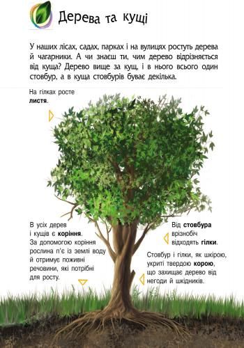 Книга Юлия Каспарова «Енциклопедія дошкільника: Природа» 978-617-09-2831-3