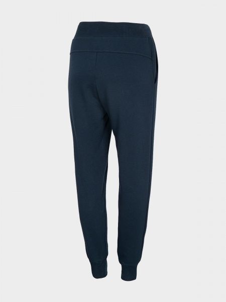 Брюки 4F NOSH4-SPDD001-31S р. M синий