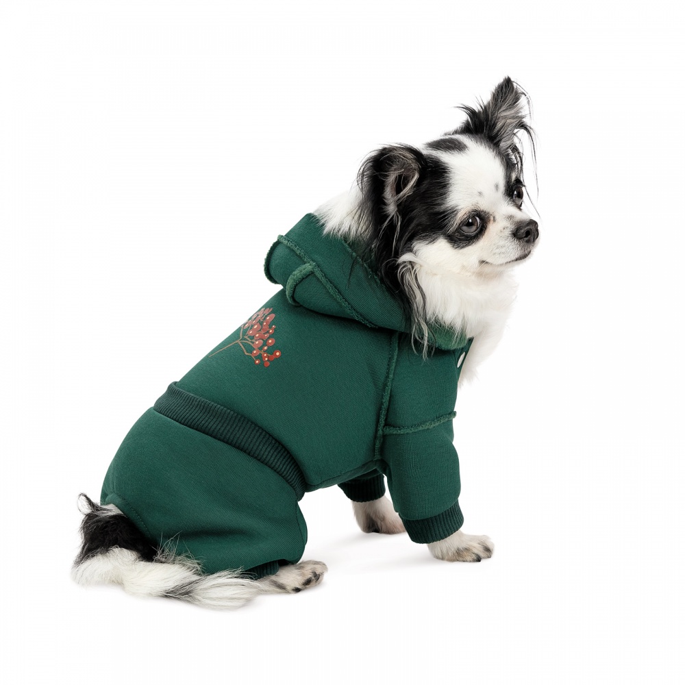 Костюм Pet Fashion Berry XS изумруд