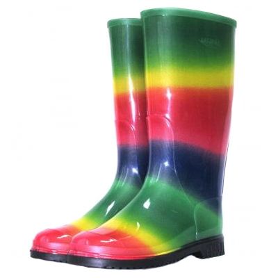 Сапоги резиновые Радуга 38 размер