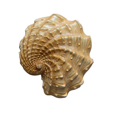 Декор гипсовый Подарок моря 5