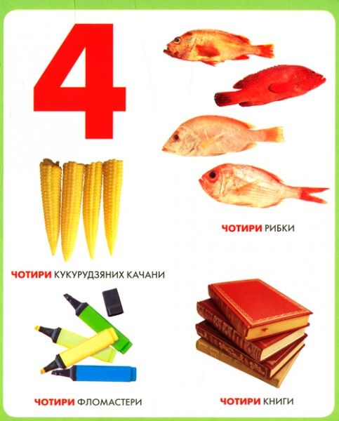 Книга «Книга. Цифри. Моя перша книжка»