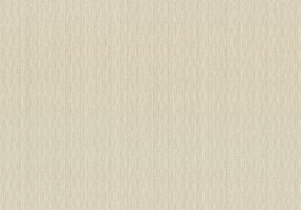 Шпалери вінілові на флізеліновій основі Vinil Денім ДХН-1421/1 1,06x10,05 м 