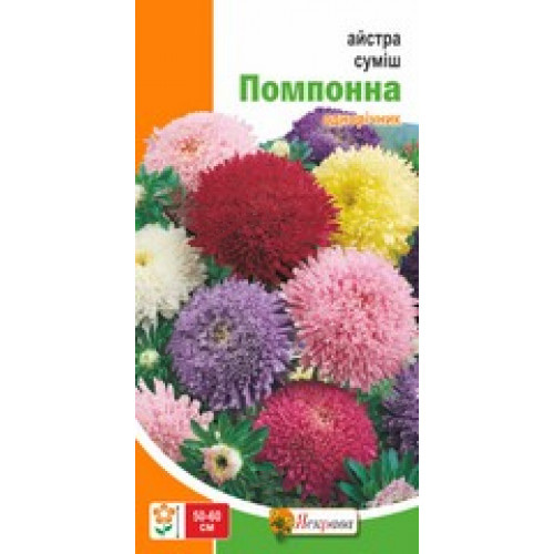 Семена Яскрава астра помпонная смесь