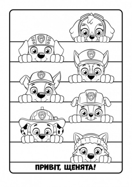Раскраска «Щенячий патруль. Кольорові пригоди. Готові діяти!» 978-617-759-199-2