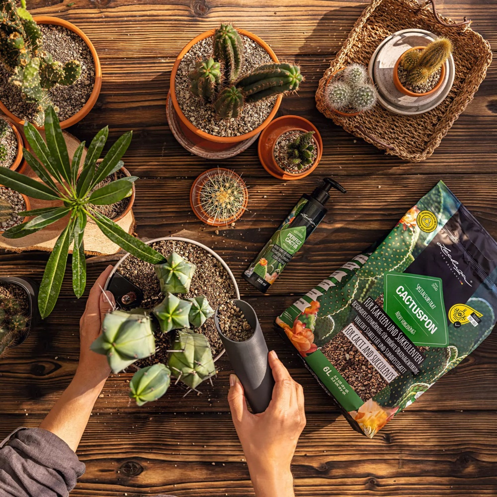 Субстрат Lechuza CACTUSPON 3 л