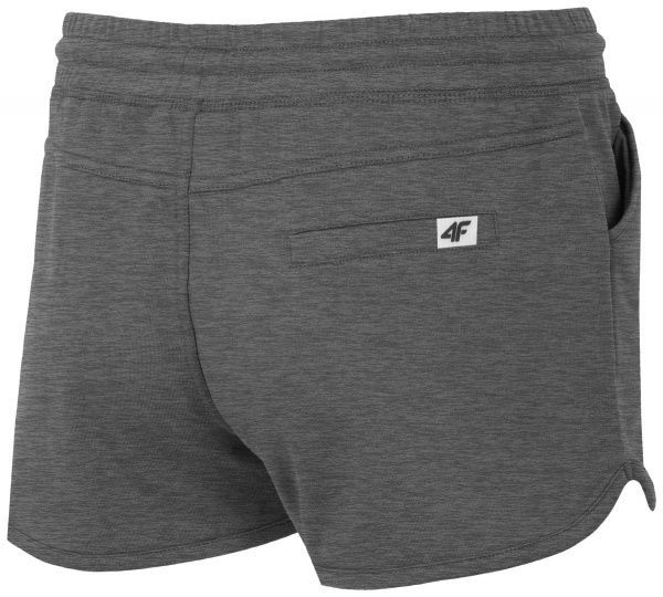 Шорты 4F H4L19-SKDD001-23M р. XS темно-серый