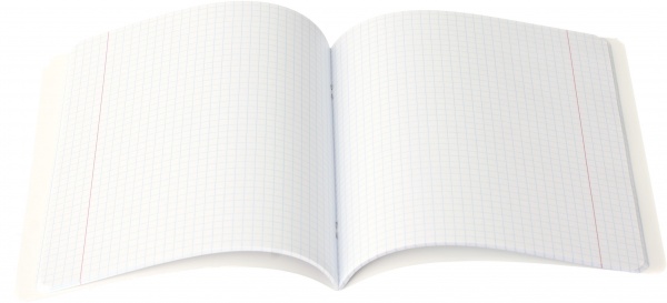 Тетрадь школьная Catwoman Ожерелье 48 листов в клетку Поділля