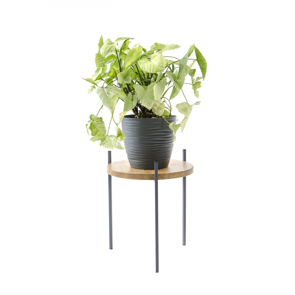 Підставка для квітів Vitan Вашингтонія d 300 мм 31,5х31,5x36 см графіт