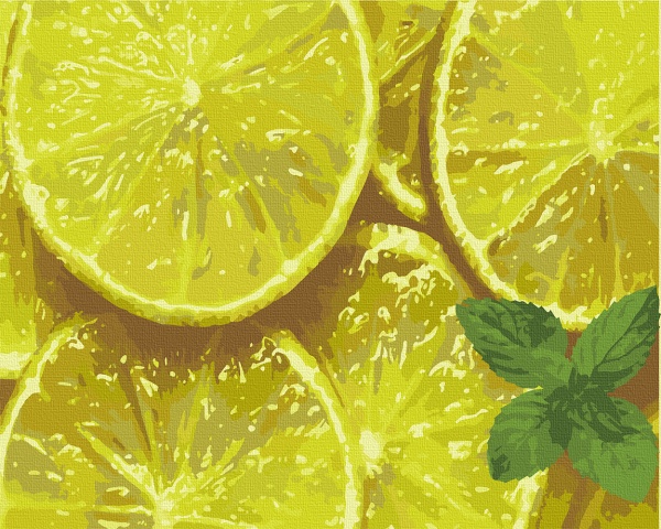 Картина по номерам Мятный цитрус 12014-AC 40х50 см ArtCraft 