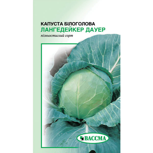 Семена Капуста белокочанная Лангедейкер Дауэр 1 г