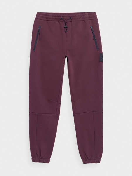 Штани 4F TROUSERS CAS M511 4FAW22TTROM511-60S р. L коричневий