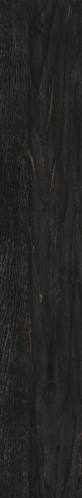 Плитка Allore Group Albero Black F PR R Mat 19,8x120 см