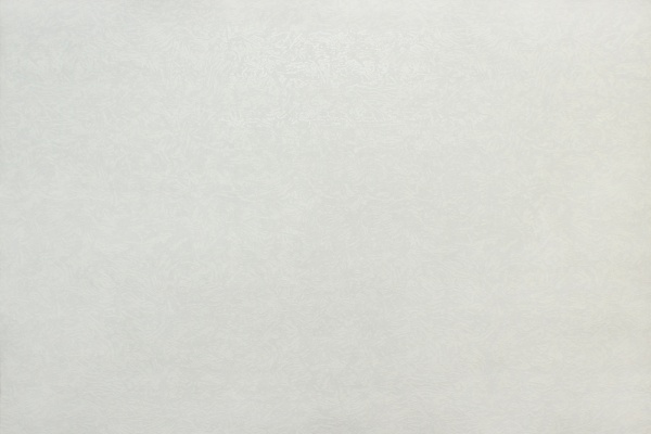 Шпалери вінілові на флізеліновій основі Vinil Орхан КФС 1-1522 0,53x10,05 м 