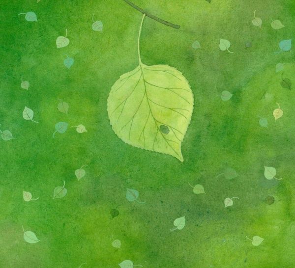 Книга Наталья Чуб «Путешествие листика» 978-617-09-2901-3