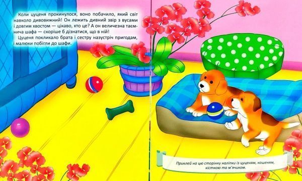 Книга Татьяна Клапчук «Цуценятко шукає пригоди» 978-966-939-531-3