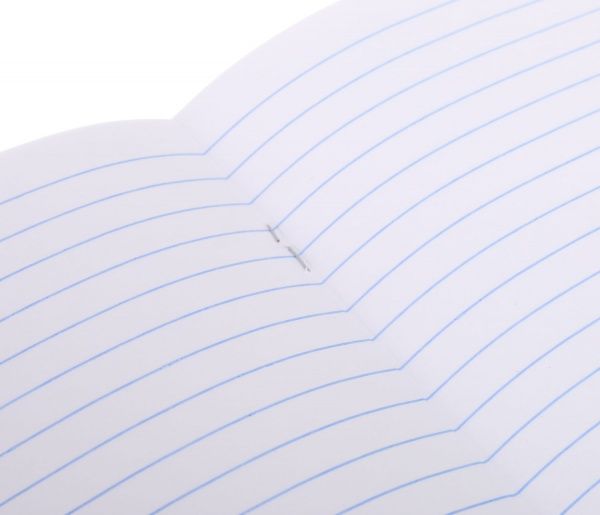 Тетрадь школьная Cat 18 листов линия 1 Мечты сбываются