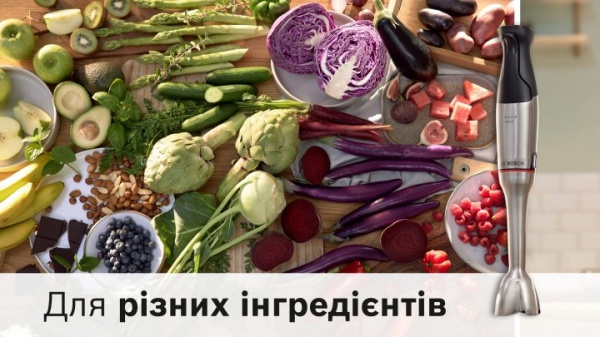 Блендер заглибний Bosch MSM6M871 