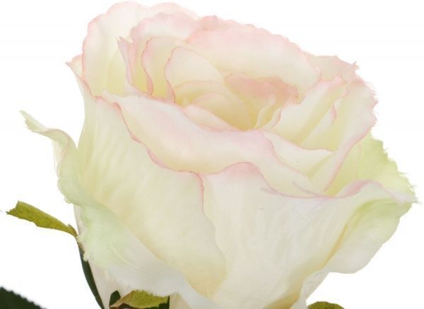 Рослина штучна троянда Мілан кремова 27435HN