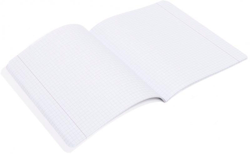 Зошит шкільний Лайтгрін 48 аркушів у клітинку