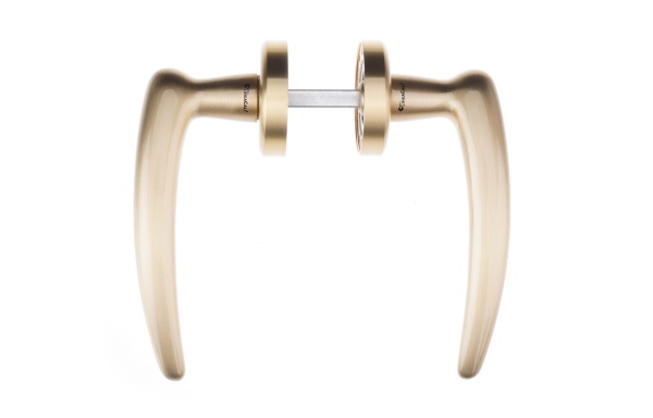 Ручка на розетке Linea Cali Pin-up 103 роз. матовая латунь