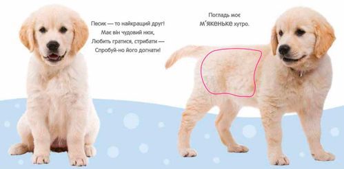 Книга «Щенок и его друзья» 9789669480927