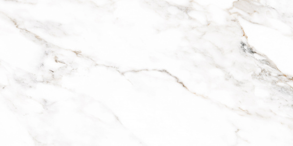 Плитка Allore Group Mira White F P R Satin 60x120 см 