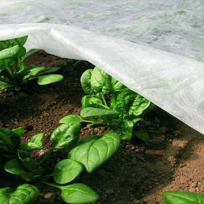 Агроволокно Віола 50 г/м2 біле 3.2 м