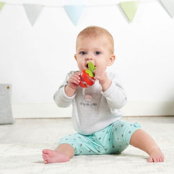 Брязкальце-прорізувач Tiny Love Морквинка та полуничка