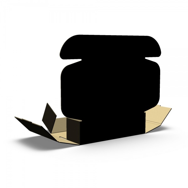 Картонная коробка (Е) + 1 цвет. (черная) 177x126x50 мм
