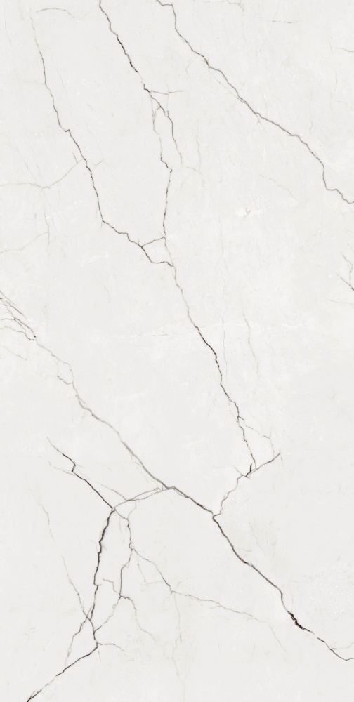 Плитка Allore Group Eleganza White F P R Full Lappato 60х120 см