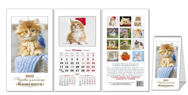 Календарь настольный КОЛАЖ Очаровательные любимцы (котята) 2022