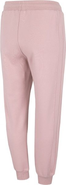 Брюки 4F D4Z20-SPDD252-56S р. XS розовый