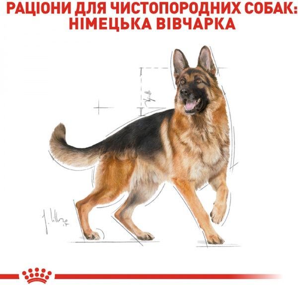 Корм Royal Canin для собак GERMAN SHEPHERD ADULT (Джерман Шеперд Эдалт), 11 кг