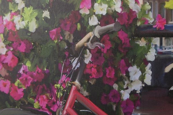 Картина Велосипеды 80x60 см Styler CA-01314 