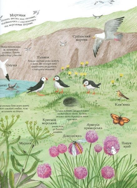 Книга Минна Лейси «Велика ілюстрована книга про природу» 978-617-7579-24-2