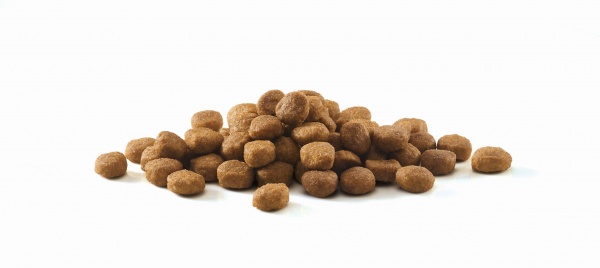 Корм сухой для котов Purina One Indoor Formula с индейкой и цельными злаками 3 кг