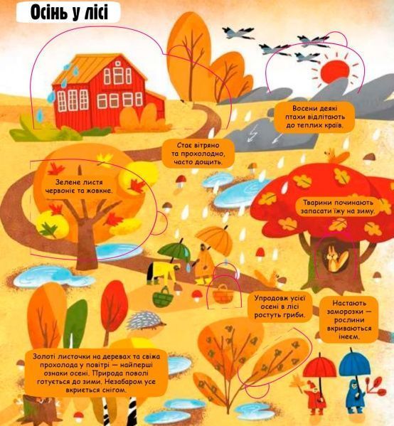 Книга «Маленькі дослідники: Погода і природа» 978-617-7563-85-2